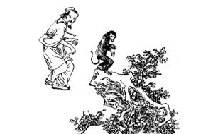 원숭이의 움직임을 연구하는 화타