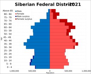 2021년 러시아 인구조사 기준 인구 피라미드