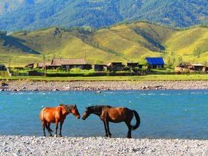 벨루하 자연공원