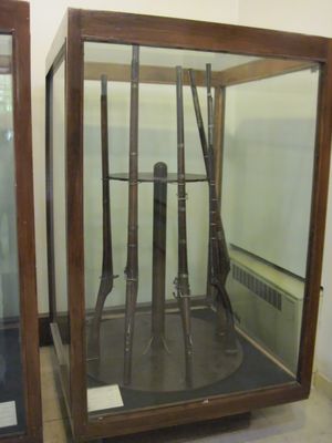 사파비 왕조 이란의 총기