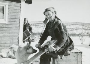  순록 가죽을 무두질하여 두오치를 제작하는 사미인 여성(1954년)