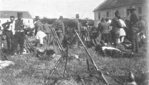 1914년 포자레바츠 예비군 동원