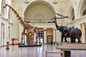 2020년 스탠리 필드 홀