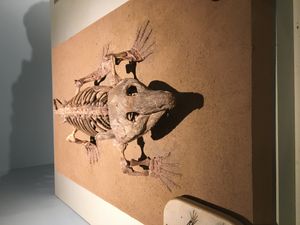 라비도사우루스 화석 골격