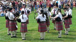 줄무늬에 맞춘 주름(2005)