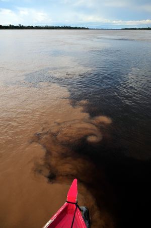 마데이라강과 아리푸아낭강의 합류 지점(어두운 부분). 사진에서는 색깔이 다르지만, 아리푸아낭강은 맑은 물이고 마데이라강은 백수이다.