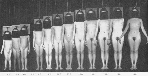 여성의 사춘기 발달