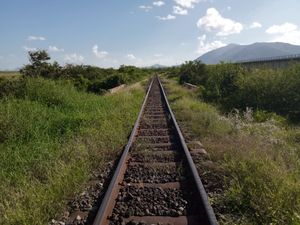 낡은 미터궤 간선의 대부분은 방치되어 덤불이 무성하다.