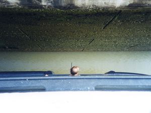 관제사가 파나마 운하를 통과하는 크루즈선 MS 린담의 통과 여유 공간을 모니터링하고 있다.