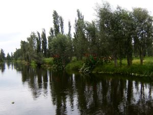 호치밀코 생태공원 또 다른 전경