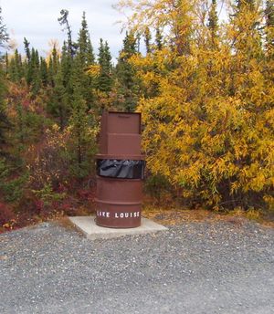 곰이 닿지 않는 쓰레기통 등의 개선책이 도입된 후 공원과 야영장에서의 곰 공격 발생률은 감소했다.