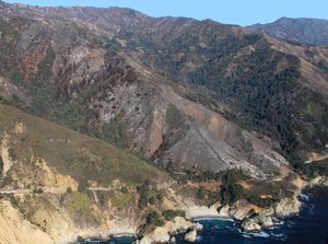 줄리아 파이퍼 번스 주립공원 화재 이후