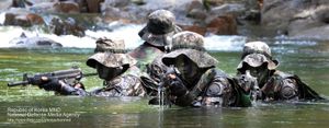 수상침투훈련 중인 제3군단 장병들