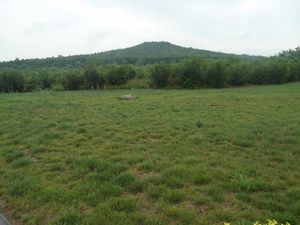 능이 위치한 봉분