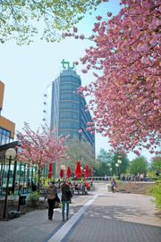 도르트문트 공과대학교 수학 타워