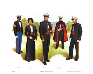 미국 해병대의 야회복. 왼쪽부터 하사관과 여성의 메스 드레스(블랙 타이에 해당). 중앙이 장교의 이브닝 메스 드레스(화이트 타이에 해당). 오른쪽 두 개가 장교의 메스 드레스. 같은 옷에 이브닝 메스 드레스는 붉은 조끼, 메스 드레스는 붉은 커머밴드를 착용.