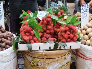 빈자이의 람부탄