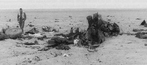 알 와프라 근처 관측소 4 주변 전투에서 아군 대전차 미사일에 의해 파괴된 LAV-AT.