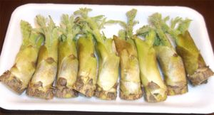 일본의 두릅 튀김