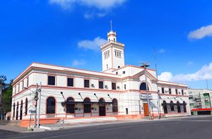 이로일로 세관(Iloilo Customs House)은 필리핀에서 가장 큰 세관 중 두 번째로, 스페인 시대의 구 아두아나(인텐덴시아) 데 마닐라(인트라무로스)와 미국 시대에 건설된 아두아나 데 마닐라(마닐라 세관)에 이어 두 번째이다.