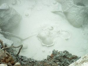 화산의 세부 사항