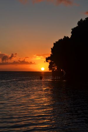 아디코라, 팔콘 주