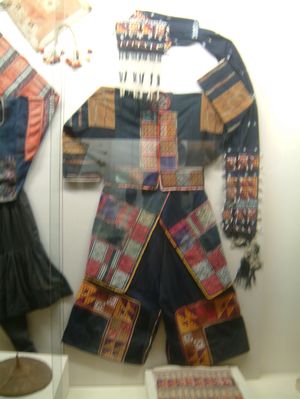 뤄뤄족의 전통 여성 의복