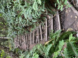 해안을 따라 배낭여행을 할 때 육지로 올라가 험준한 곶을 우회하기 위해 사용되는 로프 사다리