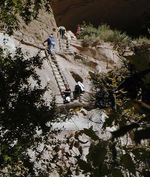 알코브 하우스로 올라가는 사다리