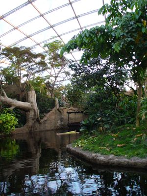 곤드와날란트 내부