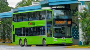 MAN A95는 버스 계약 모델을 위해 구입된 최신 2층 버스 중 하나이다.