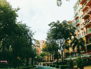 Upper Mckinley hills