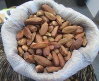 필리 견과류 (껍질 벗기고 구운)