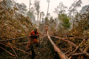세방가우 국립공원 산불 진화 중인 소방대원