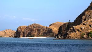 나무가 적은 코모도 섬의 험준한 지형은 인도네시아에서 가장 건조한 지역 중 하나이다.