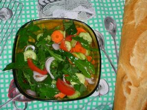 당근, 오이, 양파, 방가지똥 잎, 토마토 조각이 들어간 녹색 샐러드