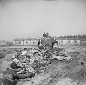 1945년 4월 19일, 영국 육군 불도저가 벨젠의 시신들을 공동묘지로 밀어 넣고 있다.