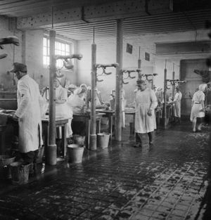 1945년 5월 1~4일, 독일 의사 2명과 간호사 2명씩 배치된 60개의 테이블에서 환자들이 세척 및 이 제거를 받는 모습