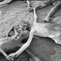 해방 후 영국군이 촬영한 굶어 죽은 수용자 사진.