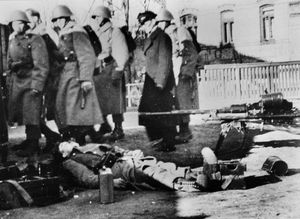 하더슬레우의 검문소 근처에서 사망한 덴마크 병사