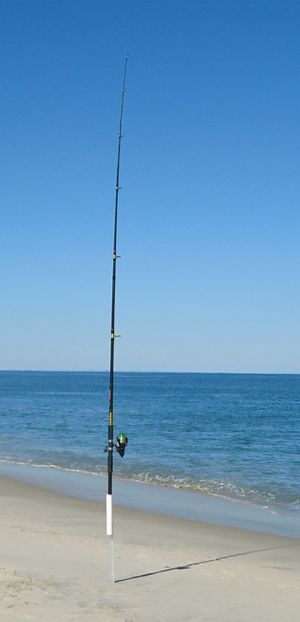 낚싯대는 응력 모델링을 위해 1차원으로 간주될 수 있다.