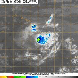 2007년 하와이를 지난 허리케인 플로시. 하와이섬 동쪽에 발달한 허리케인에서 온 대규모 수증기대에 주목하십시오.