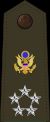 육군 대장(General of the Army)