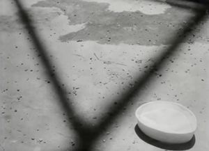 영화 12월 7일 오프닝 장면