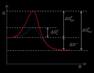 효소가 존재하면 활성화 에너지가 감소하여 반응을 촉진시킨다.