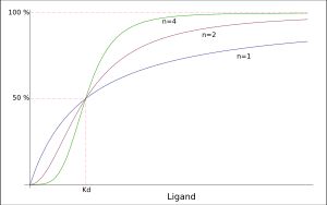 시그모이드형 대비 쌍곡선형 결합 패턴은 효소의 협동성 및 비협동성 특징을 보여준다.