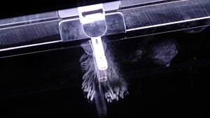 인공 핵종인 아메리슘-241이 알파 입자를 방출하는 모습을 윌슨 구름상자에 담아 시각화한 것.