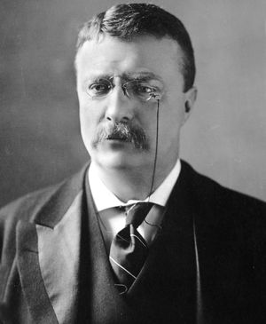 테오도어 루스벨트(Theodore Roosevelt)