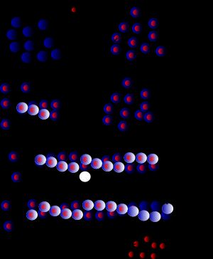 G-액틴이 F-액틴으로 중합되는 과정을 보여주는 미세섬유 형성; ATP의 가수분해에 유의하십시오.