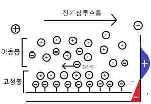 전기 삼투 현상의 전하 분포도